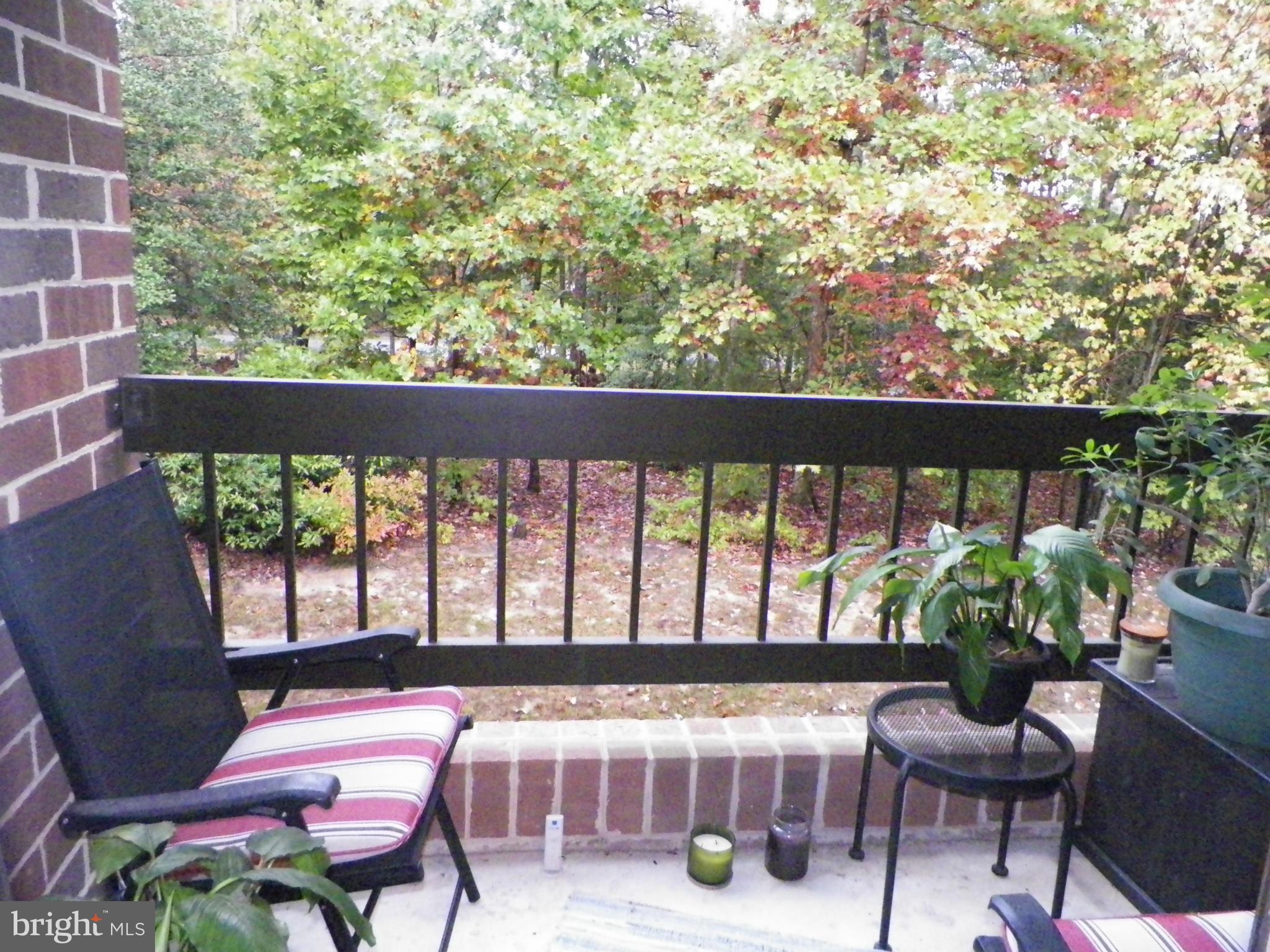 ORCHID PARK OF WILDEWOOD - Residential Lease