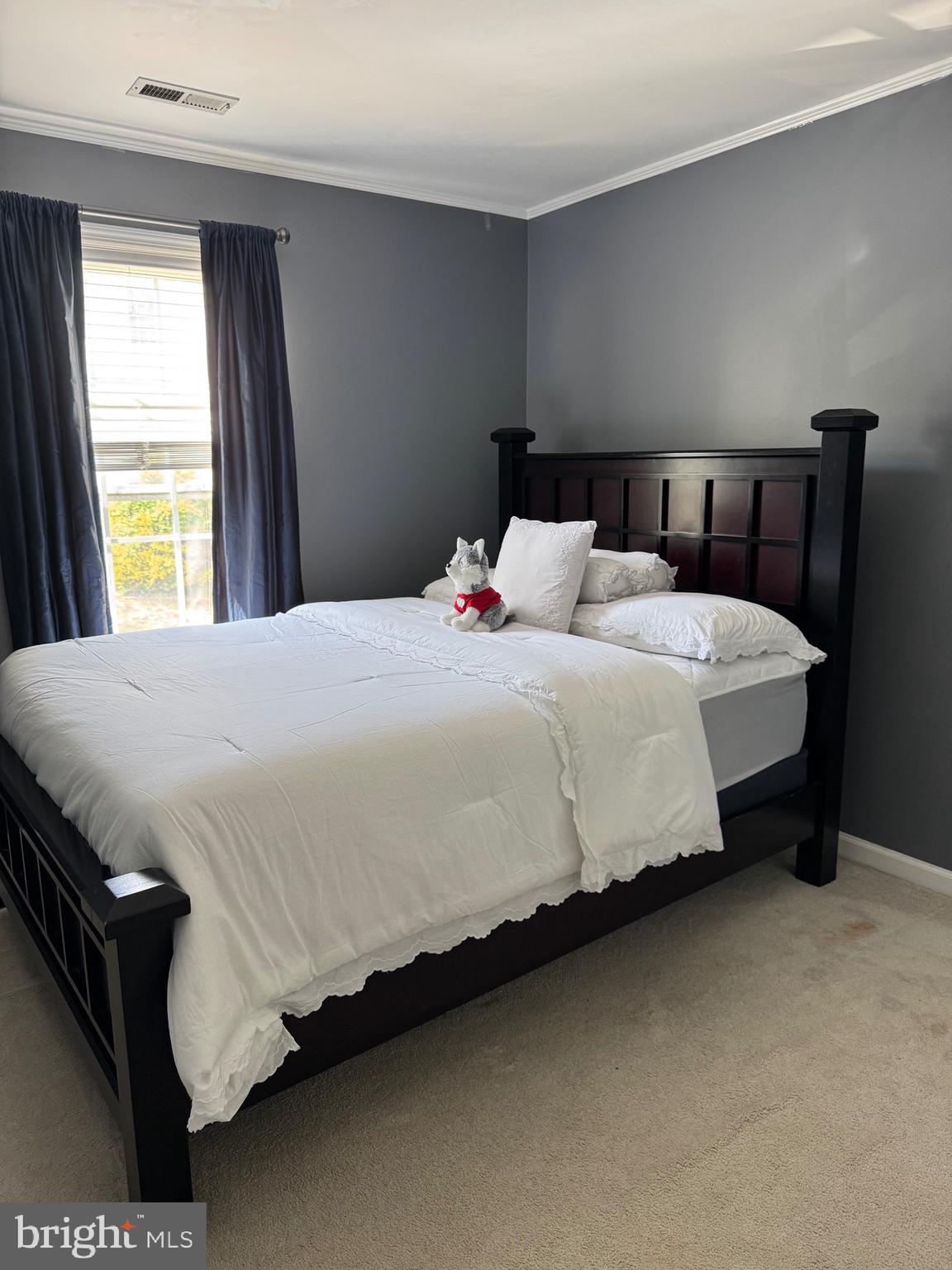 WOODBRIDGE COMMONS - Residential