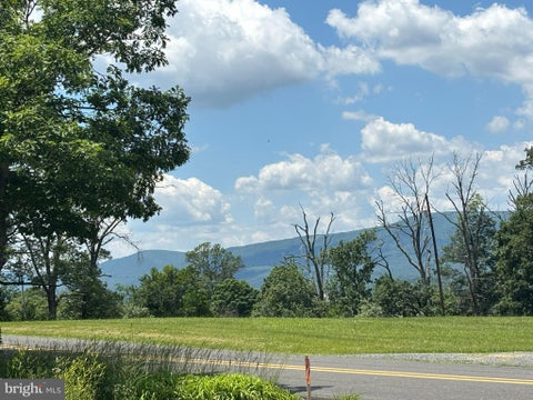 Vacant Land For Sale - Wardensville Grade<br/> WINCHESTER, VA 22602