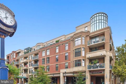 502 W BROAD STREET 215 FALLS CHURCH VA 22046