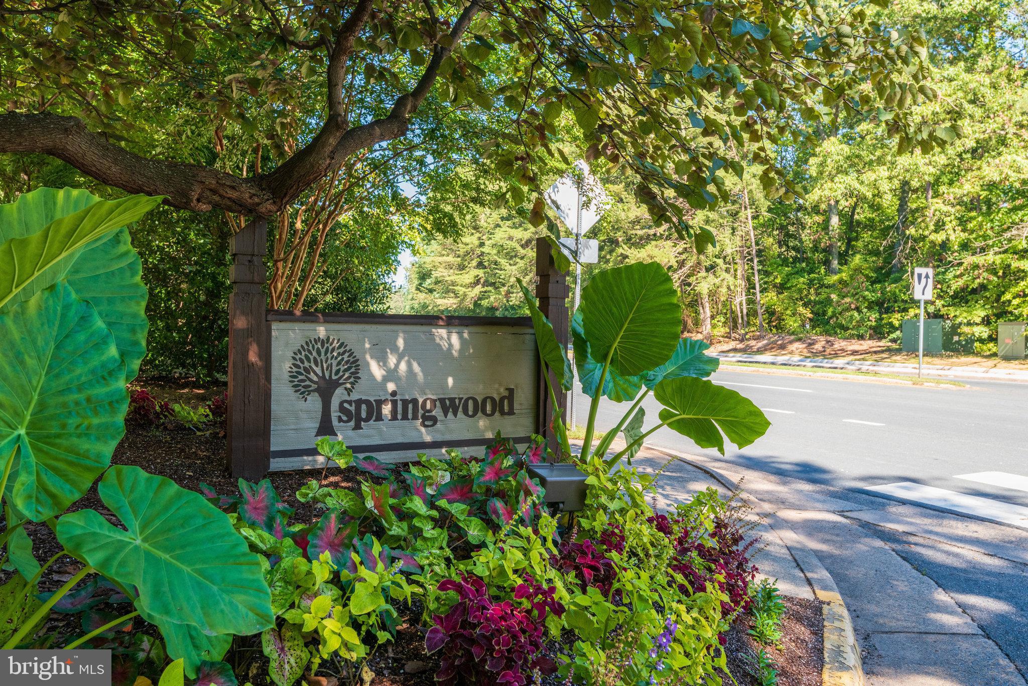 2210 SPRINGWOOD DRIVE 207