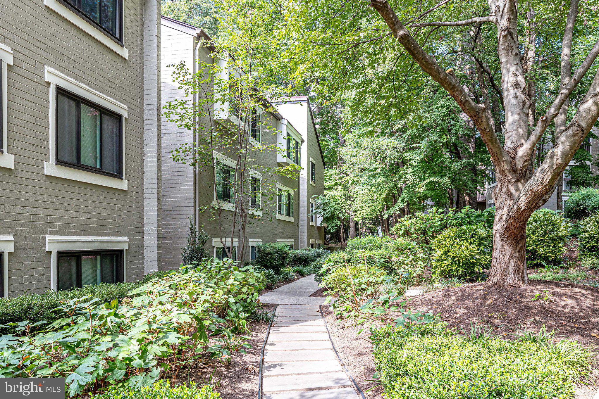 2210 SPRINGWOOD DRIVE 207