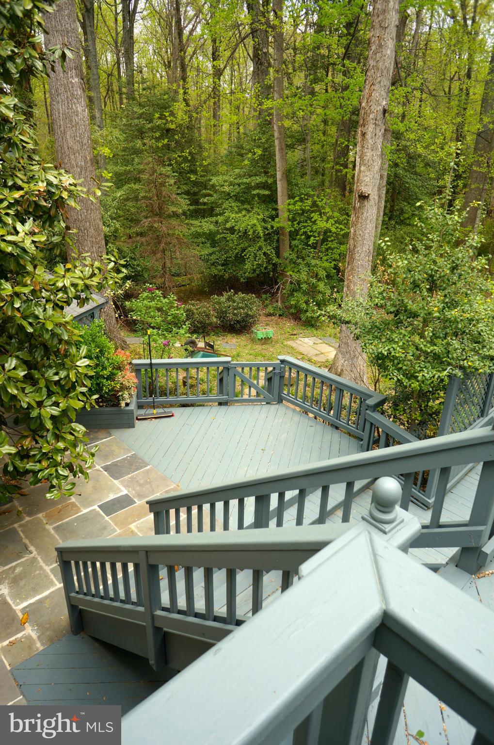 RESTON - Residential Lease