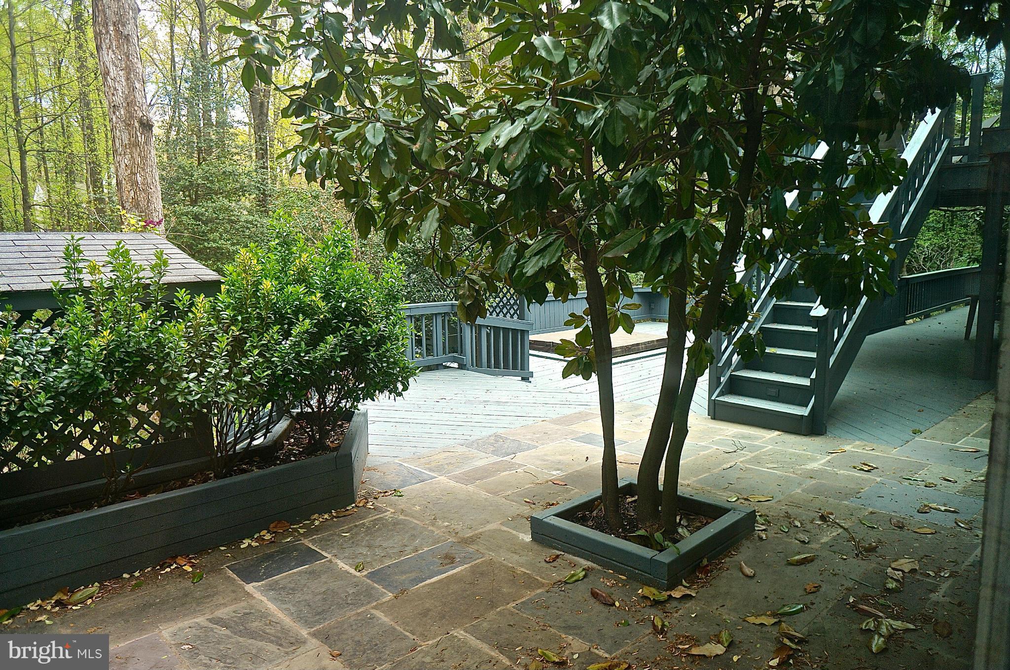 RESTON - Residential Lease