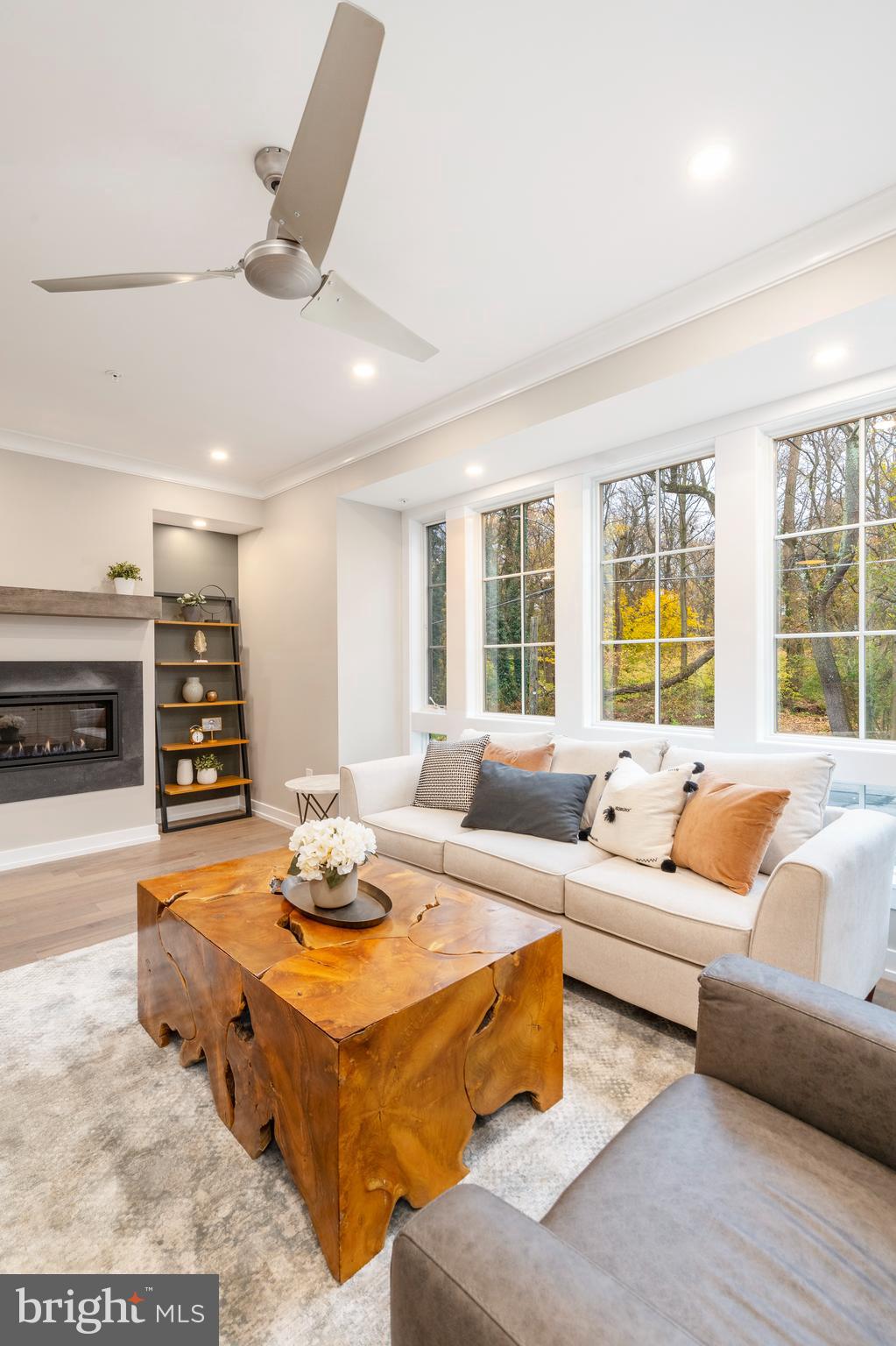 CHESTNUT HILL - Residential