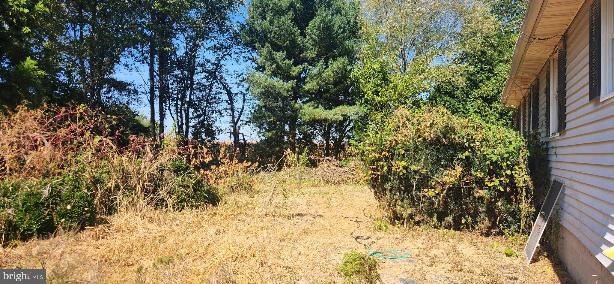 DORCHESTER - Residential