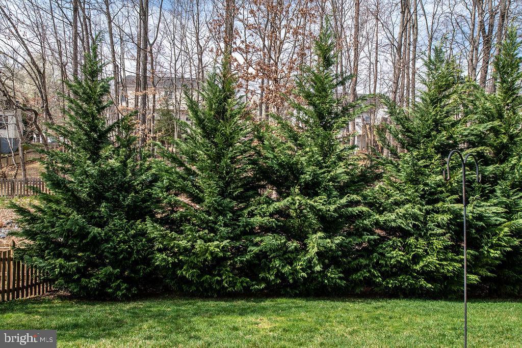 STAFFORD LAKES VILLAGE - Residential