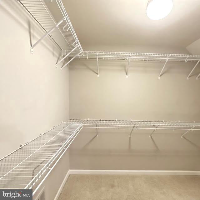 CHESTERFIELD A CONDOMINIUM - Residential Lease