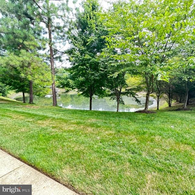 CHESTERFIELD A CONDOMINIUM - Residential Lease