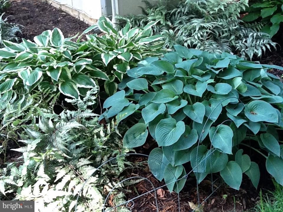 CROFTON PARK - Residential