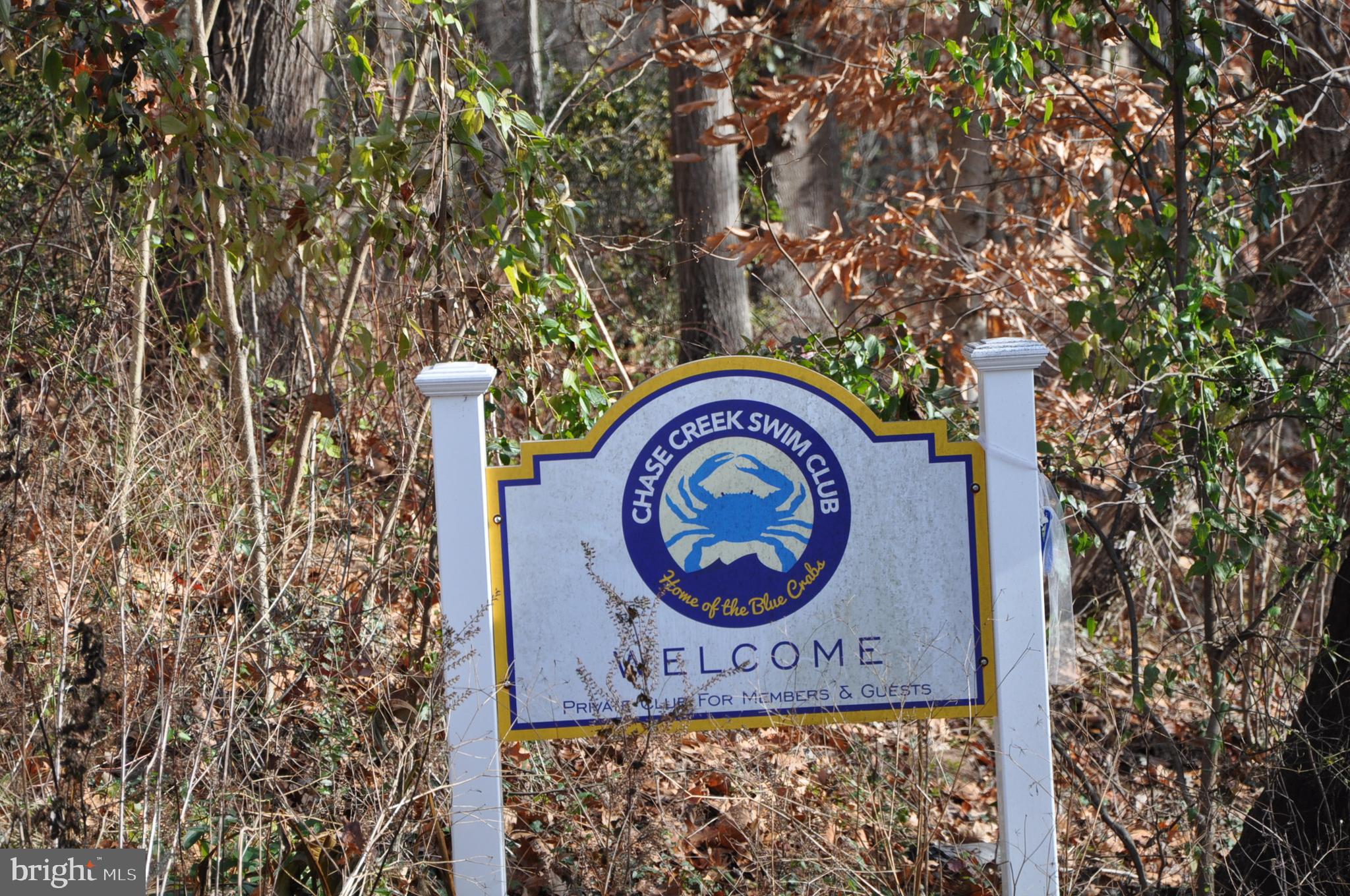 PINES ON THE SEVERN - Residential