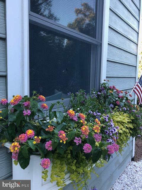 PINES ON THE SEVERN - Residential