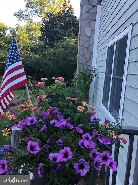PINES ON THE SEVERN - Residential