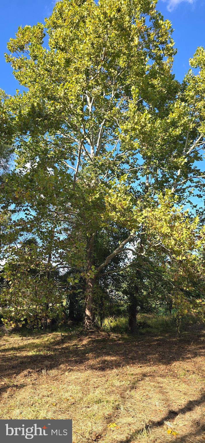 GOSHEN HUNT ESTATES - Residential