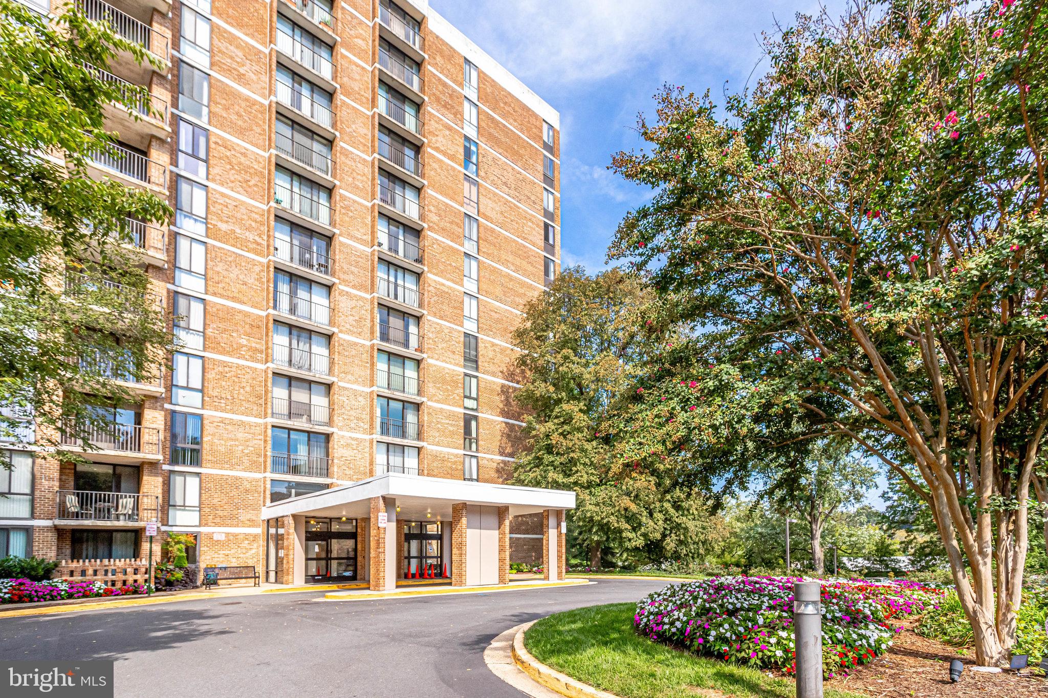 2300 PIMMIT DRIVE 919