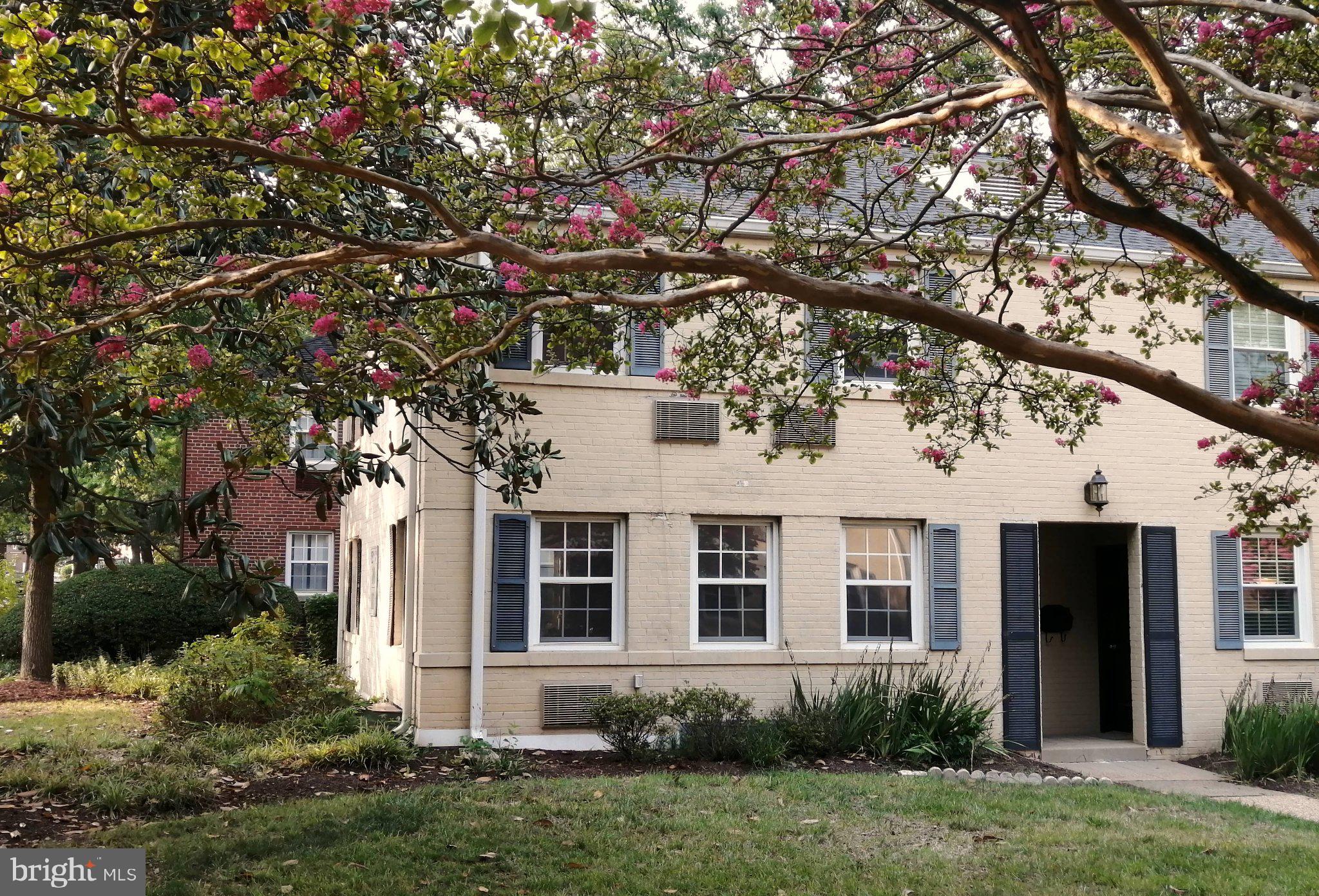 111 N GEORGE MASON DRIVE N 1