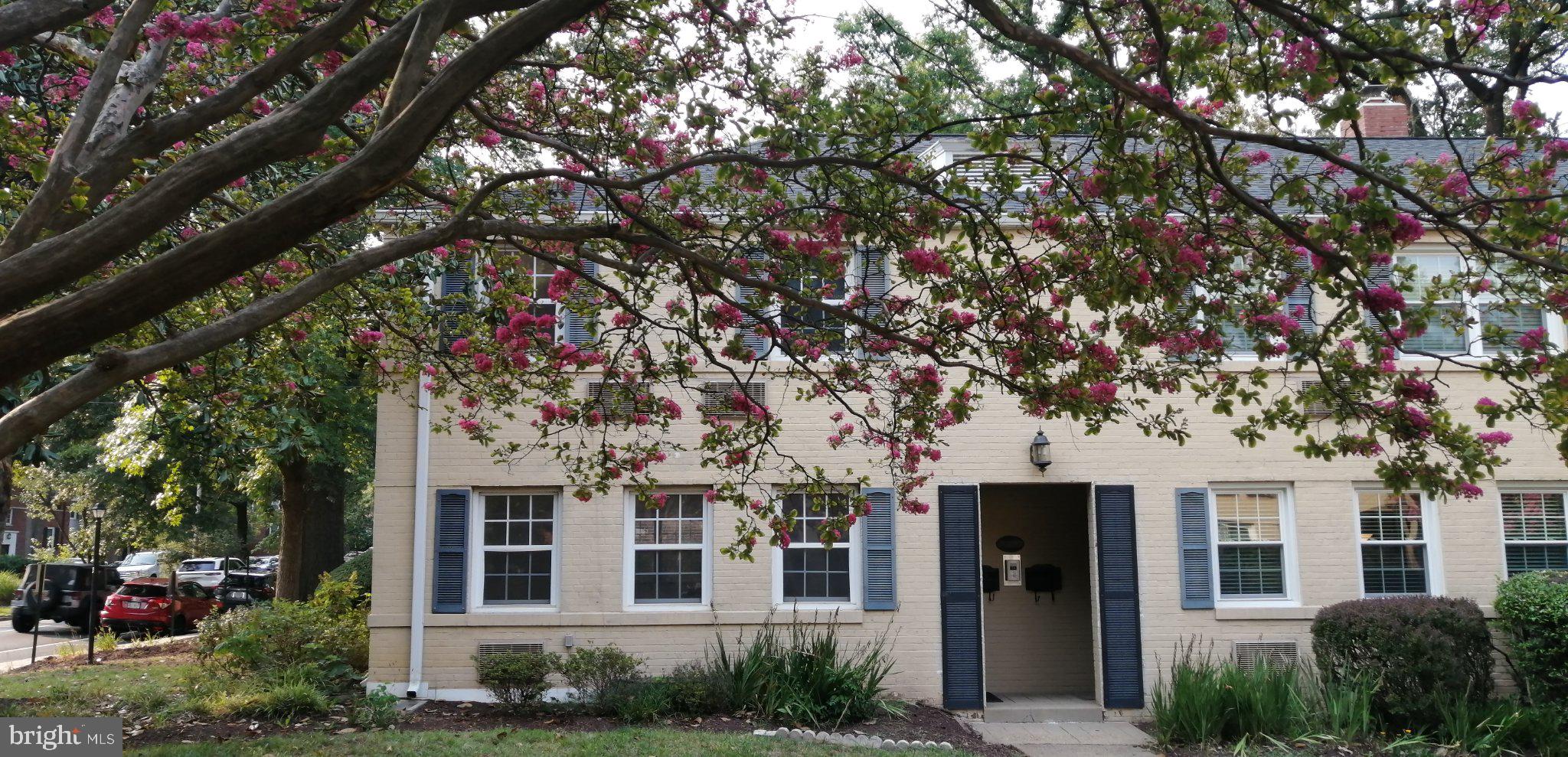 111 N GEORGE MASON DRIVE N 1