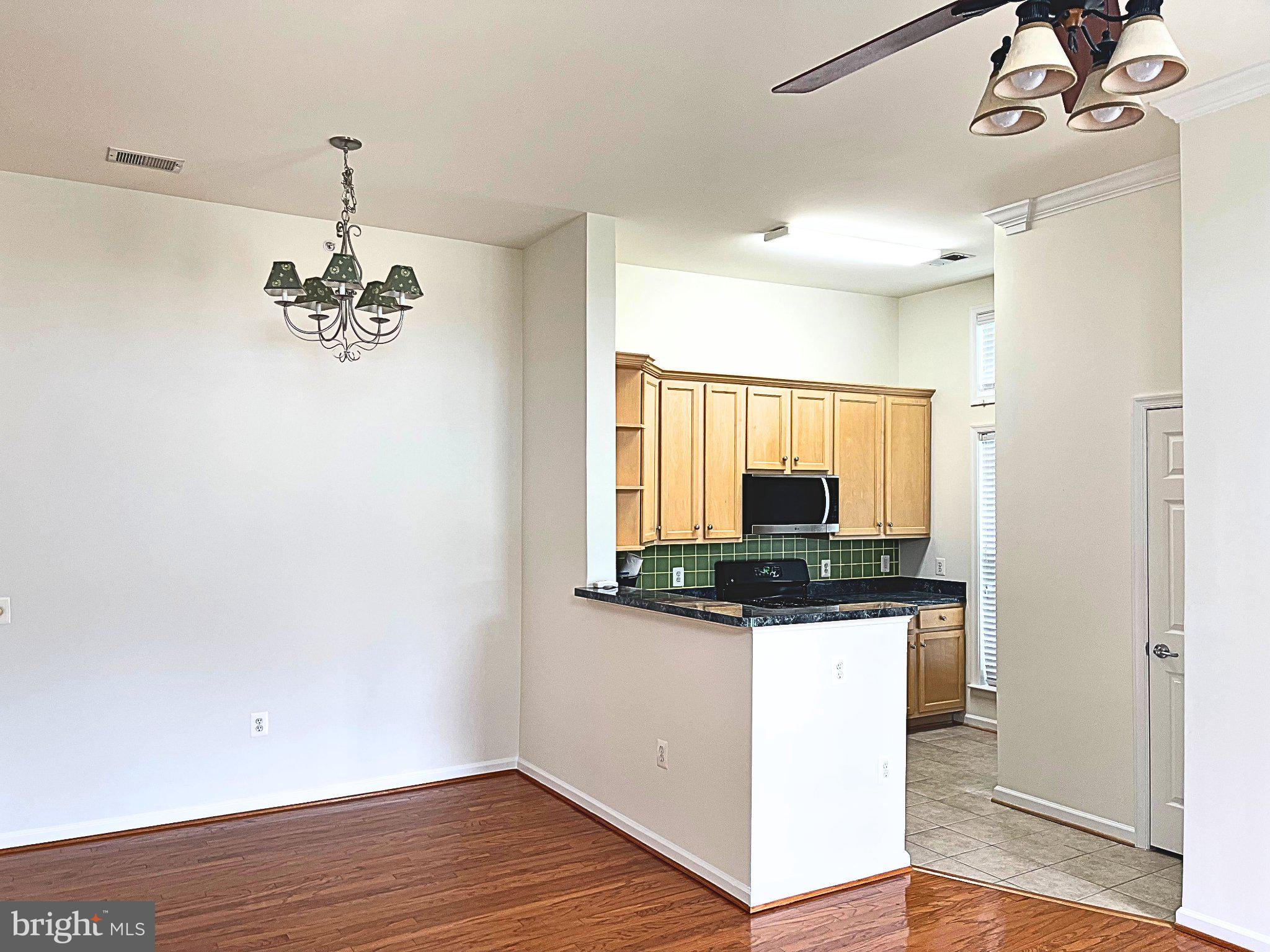3810 LIGHTFOOT STREET 411