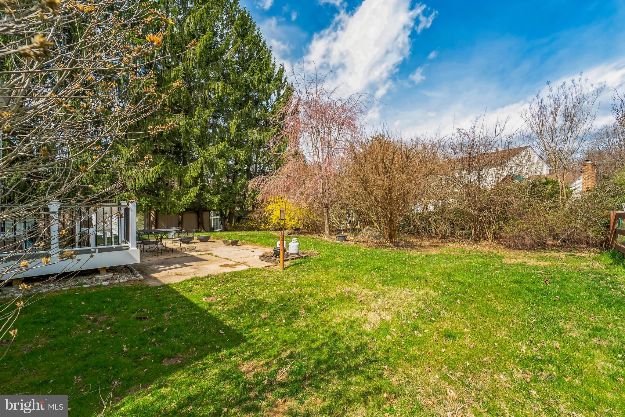 SPRINGDALE - Residential