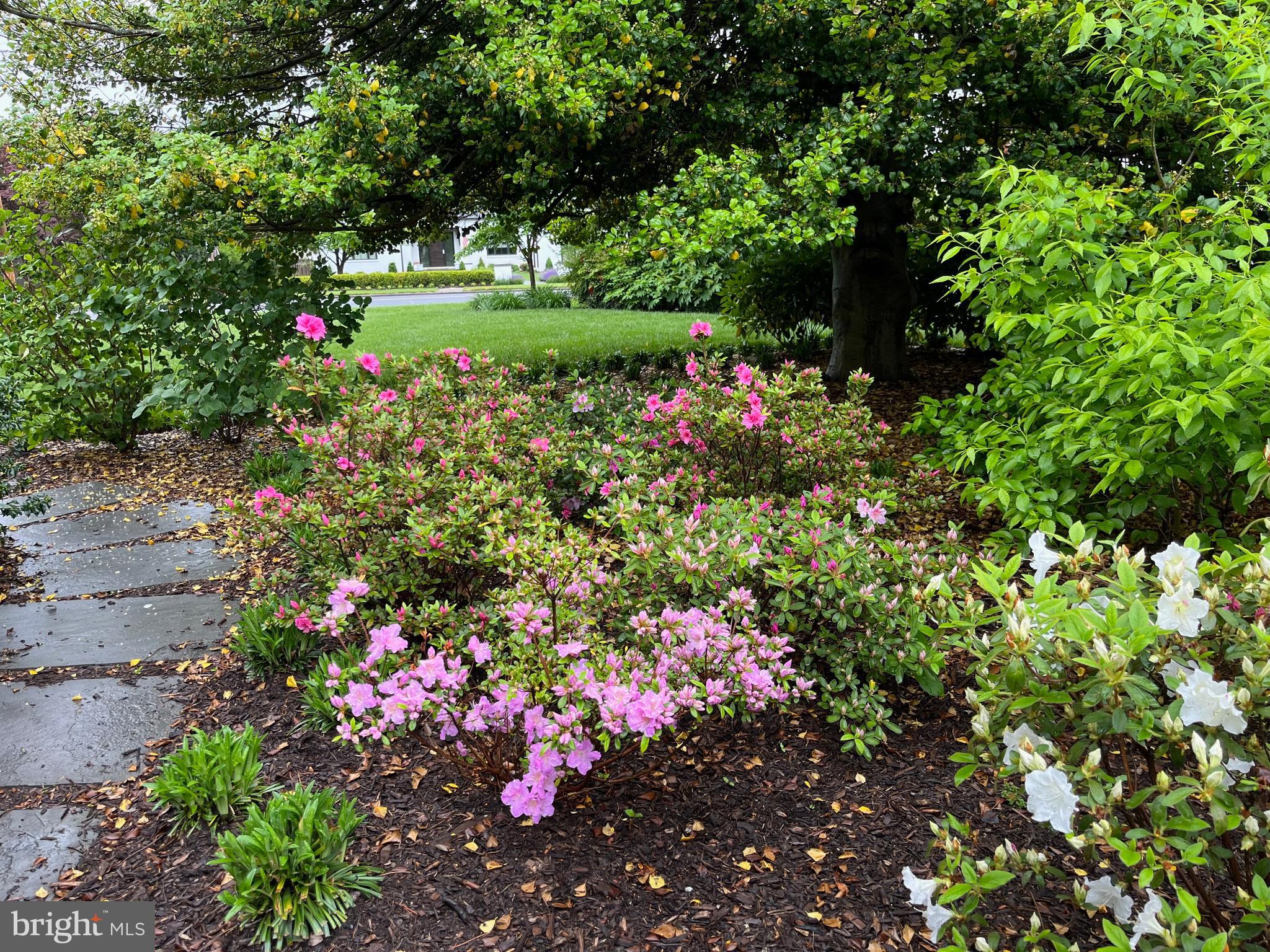 DOWNTOWN FREDERICK - Residential