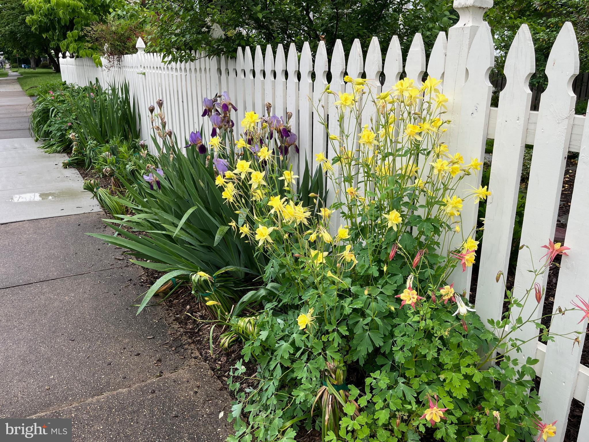DOWNTOWN FREDERICK - Residential