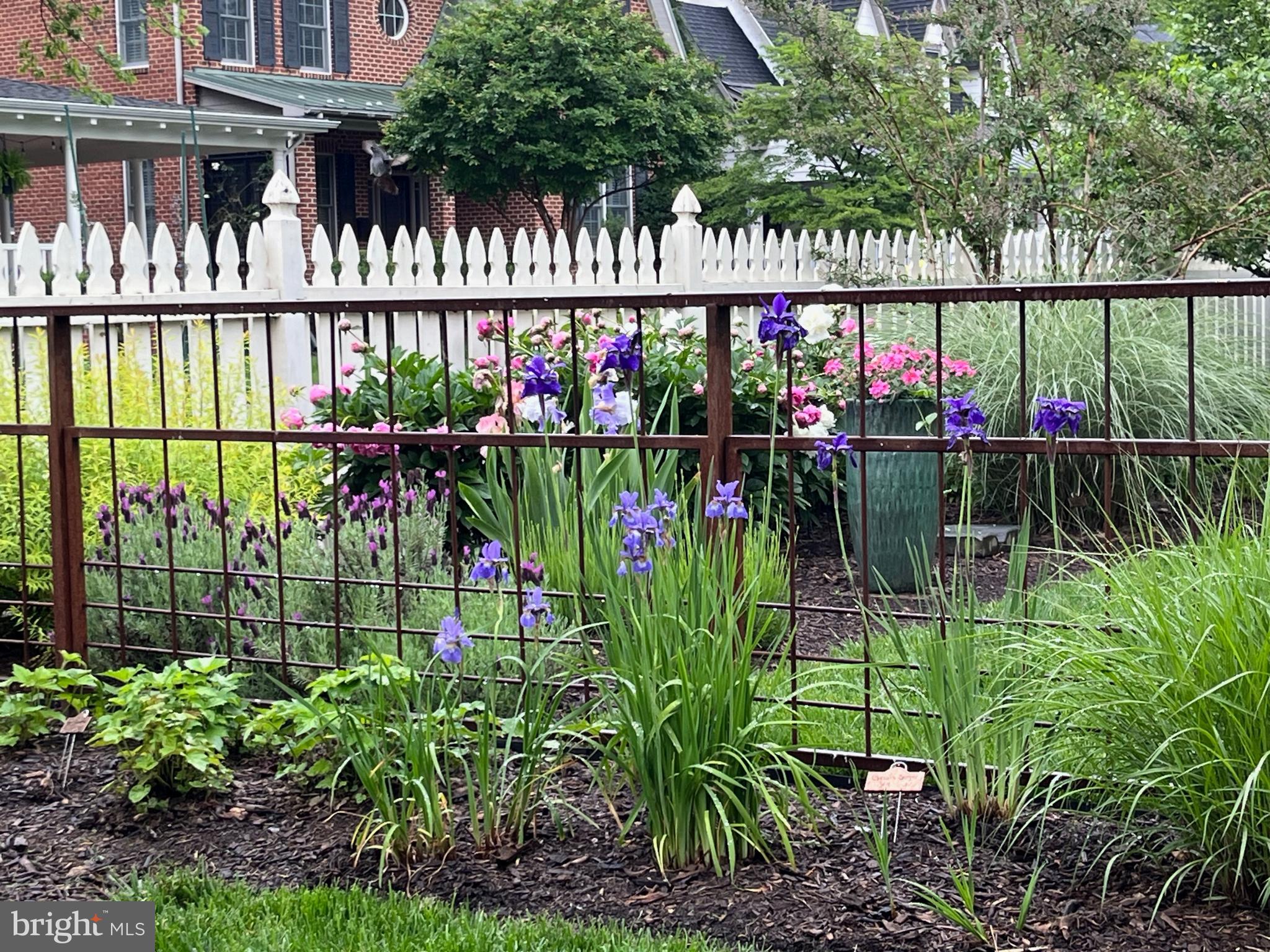 DOWNTOWN FREDERICK - Residential