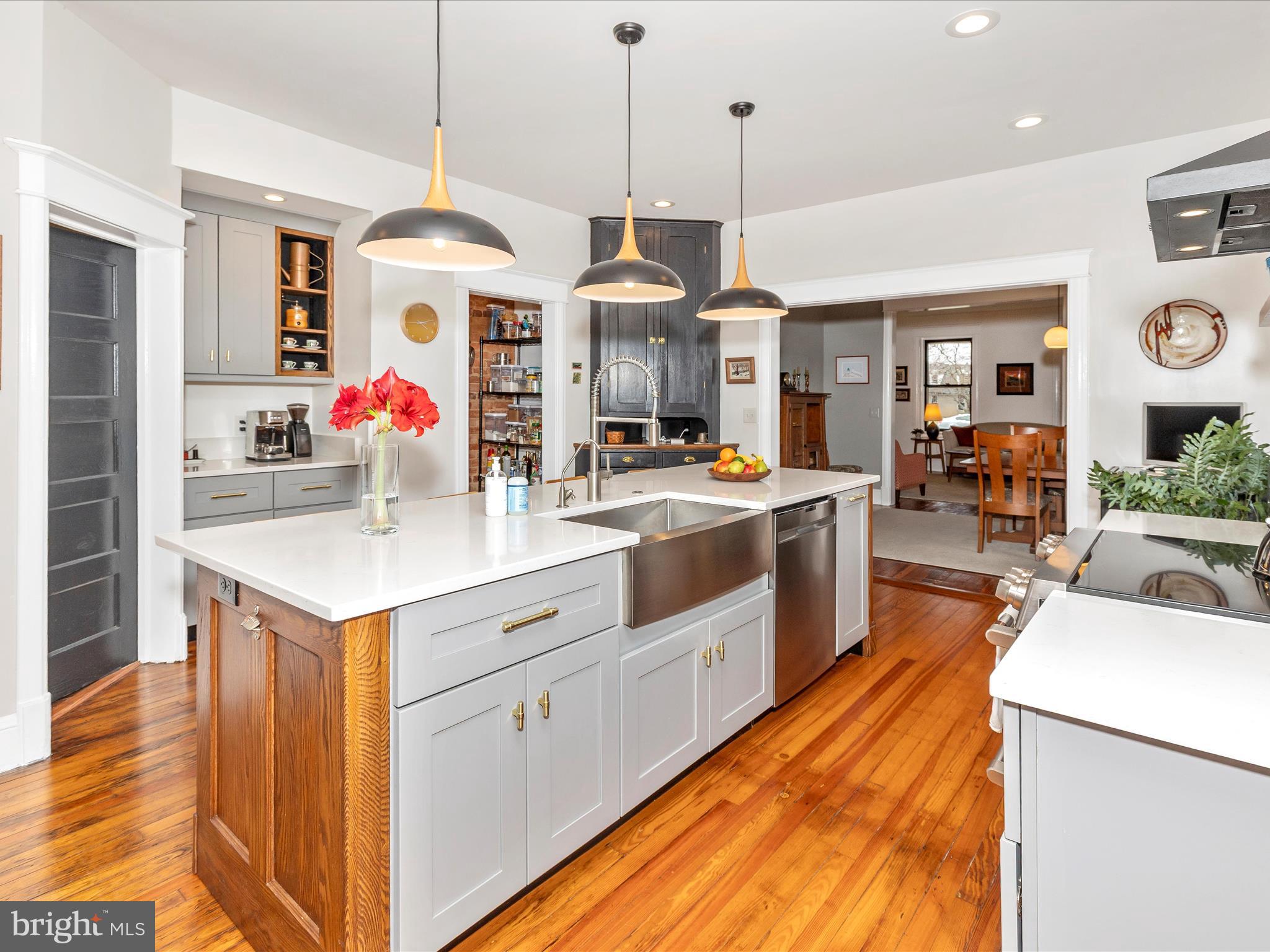 DOWNTOWN FREDERICK - Residential