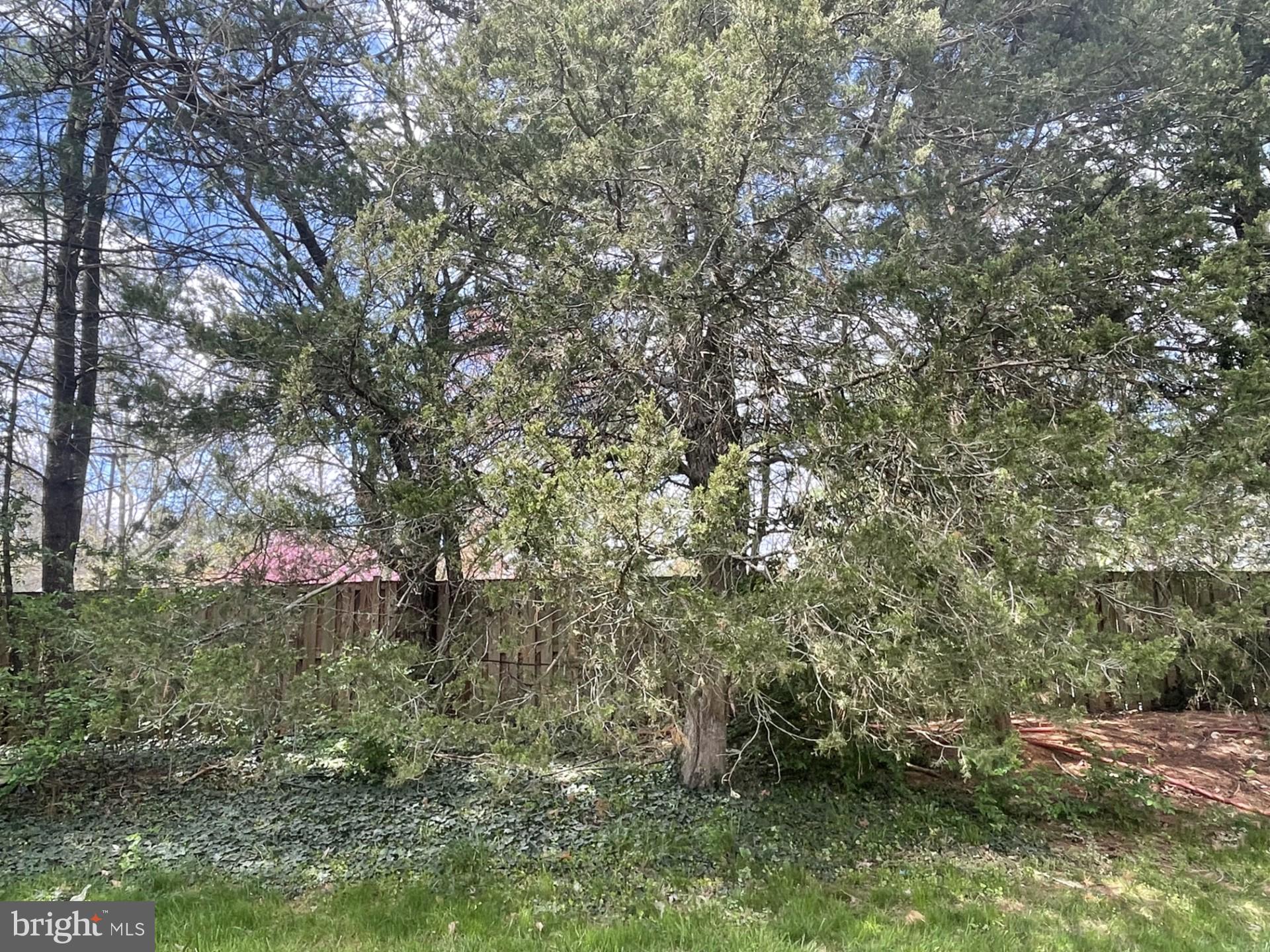 COUNTRYSIDE - Residential Lease