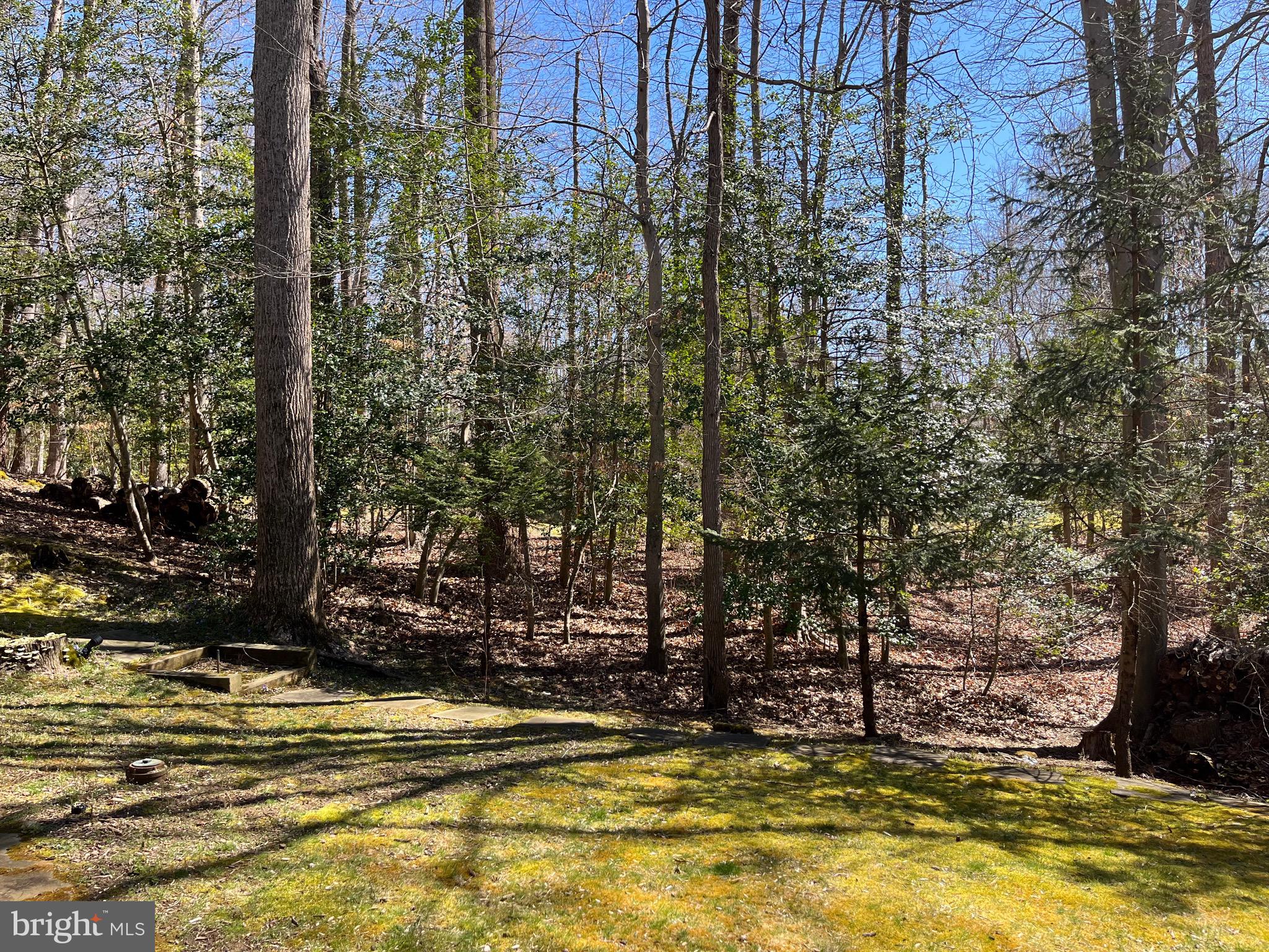 HUNTINGTON WOODS - Residential