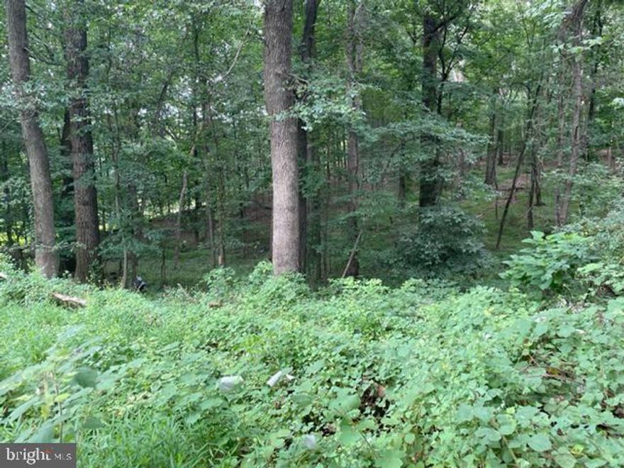 Lot is sold to settle estate.  Lot has no perc test or no well. Property is zoned R20  but has no road access and no access to water and sewer at the moment .  The lot at the moment is unbuildable and would have to complete the subdivision process to make the lot buildable according to the county's and sellers attorney research. Call listing agent for further questions.    Approximate corners have been marked with red ribbon. One corner in rear was marked by surveyor of neighboring lot. Lot is being sold "as is"