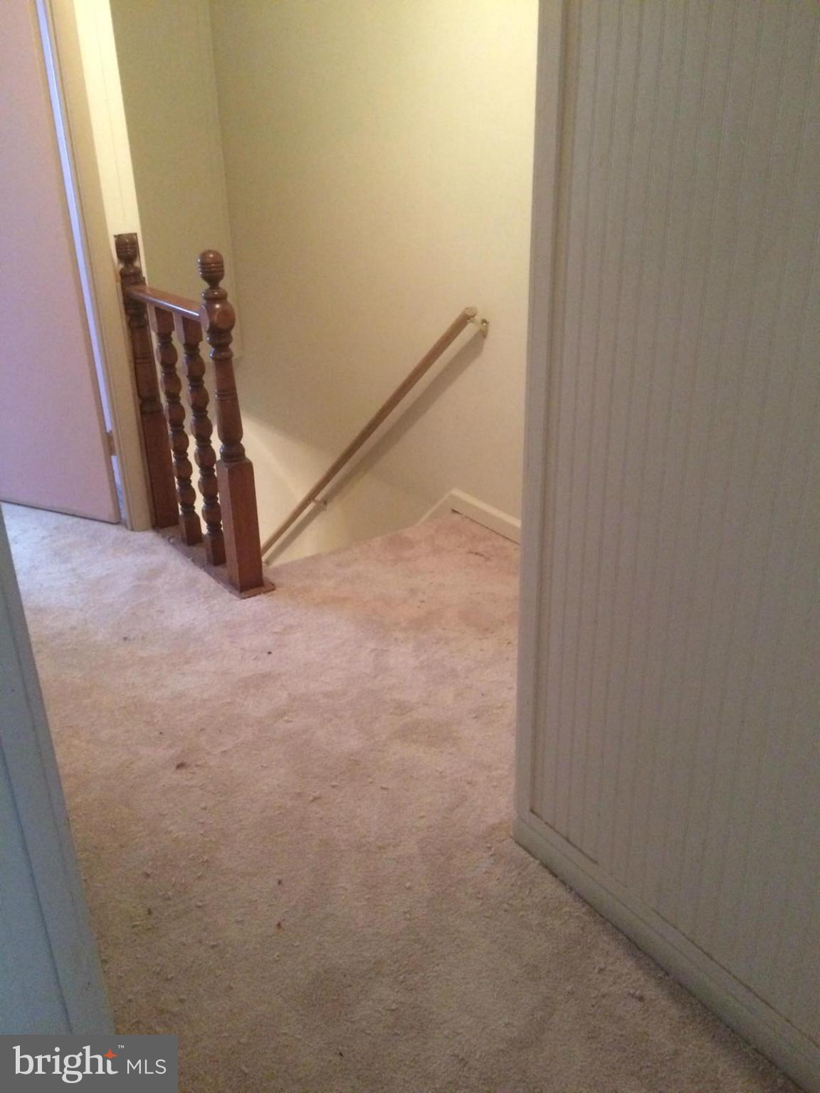 ELYSIAN WOODS - Residential Lease