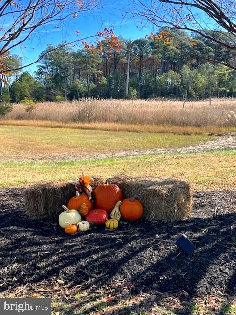 FAIRFIELD AT LONG NECK - Residential