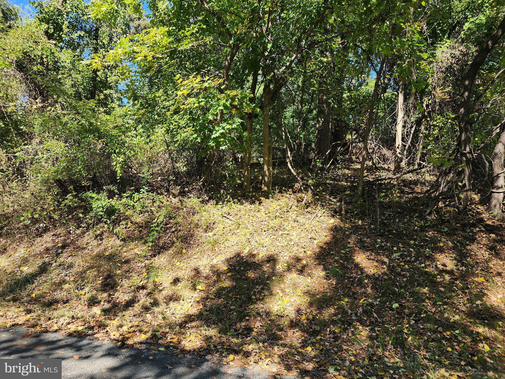 RANCH SECTION - Land