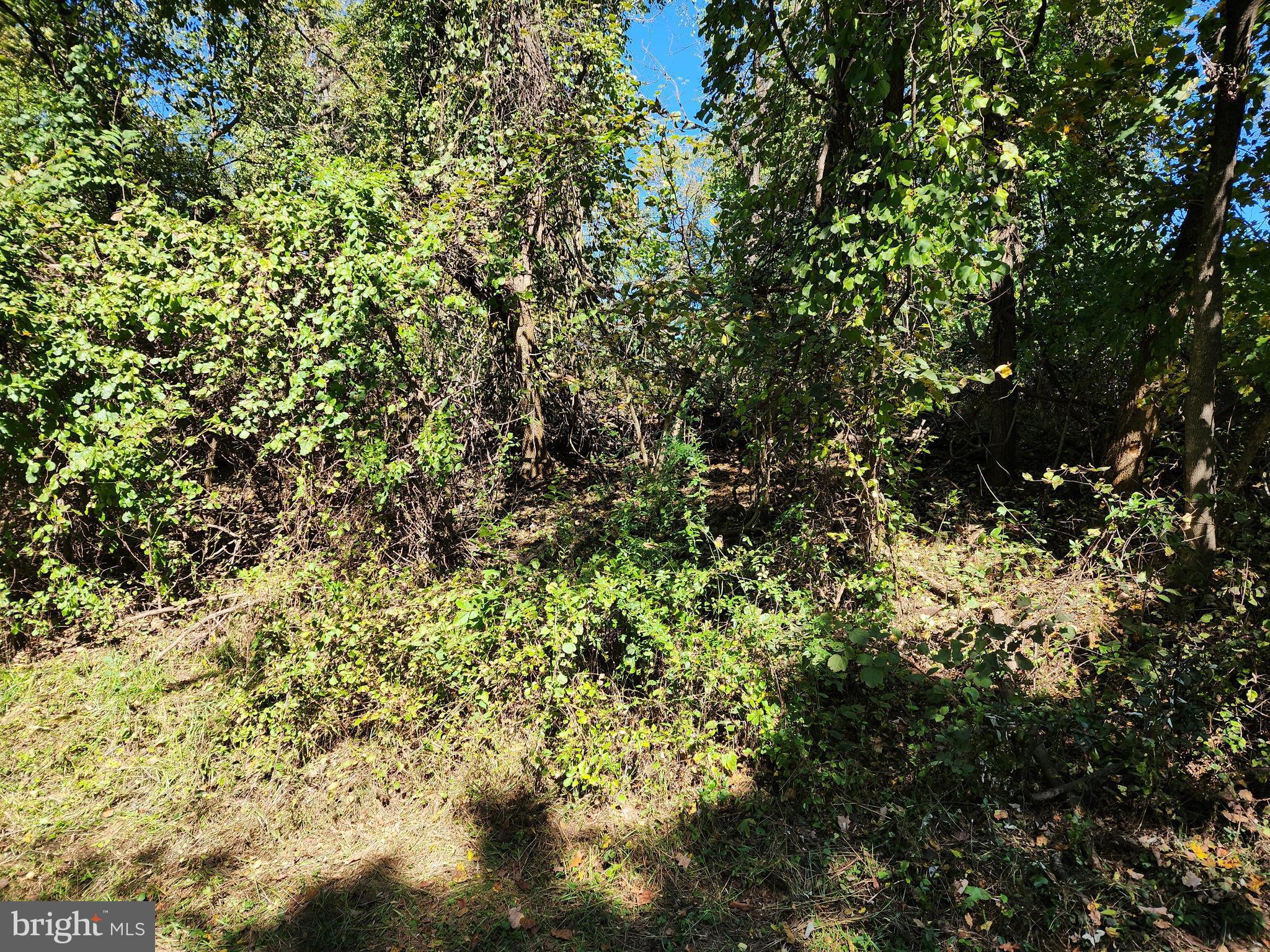 RANCH SECTION - Land