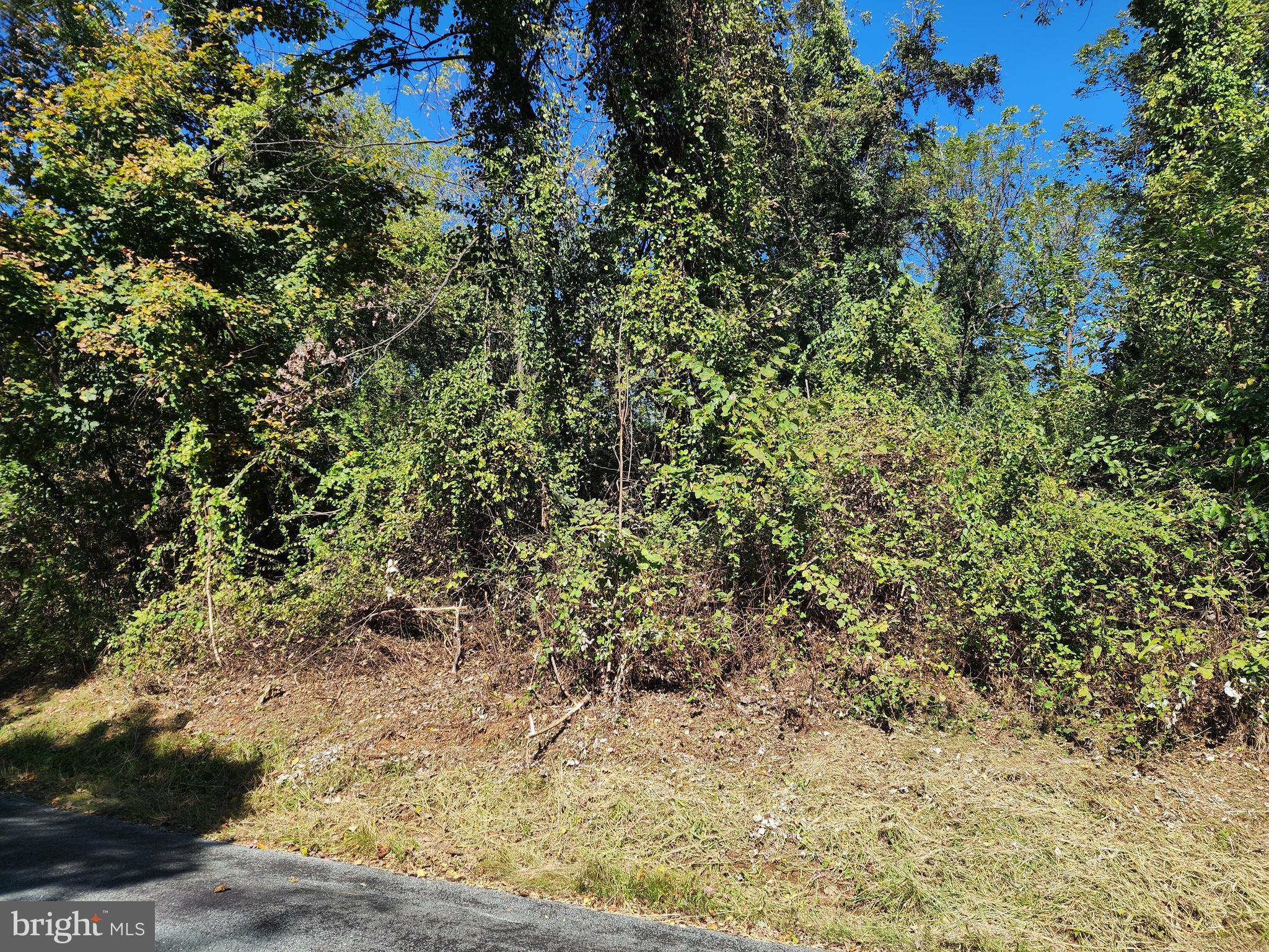 RANCH SECTION - Land