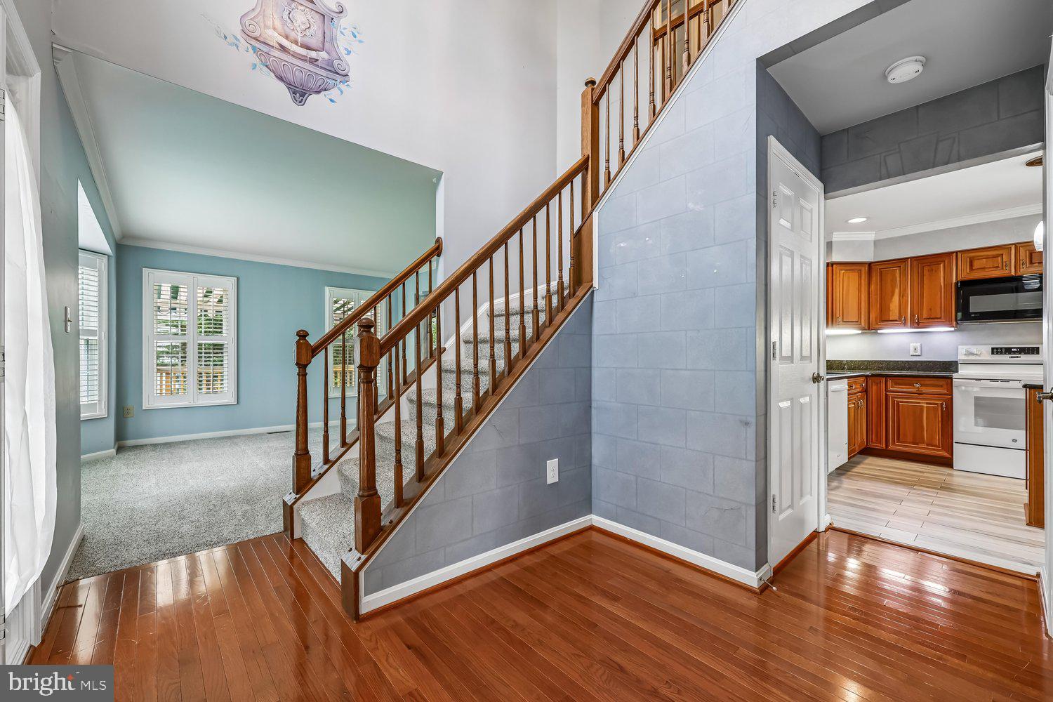 NORTH SHORE - Residential