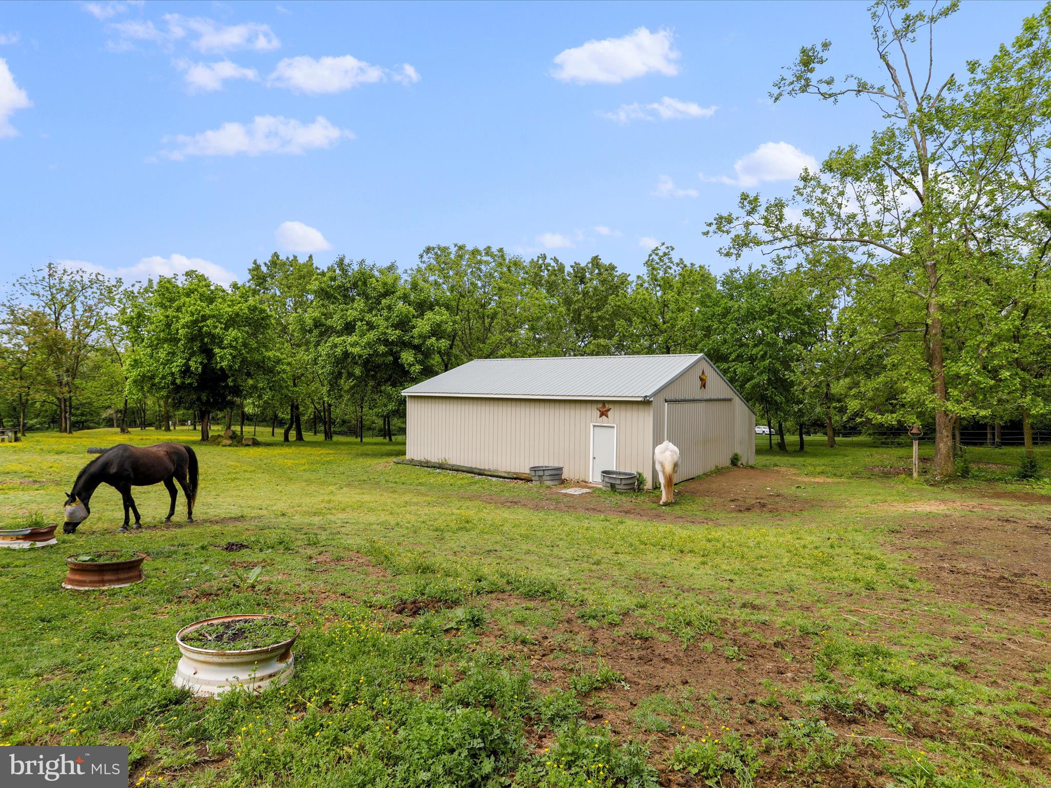 NONE AVAILABLE - Farm