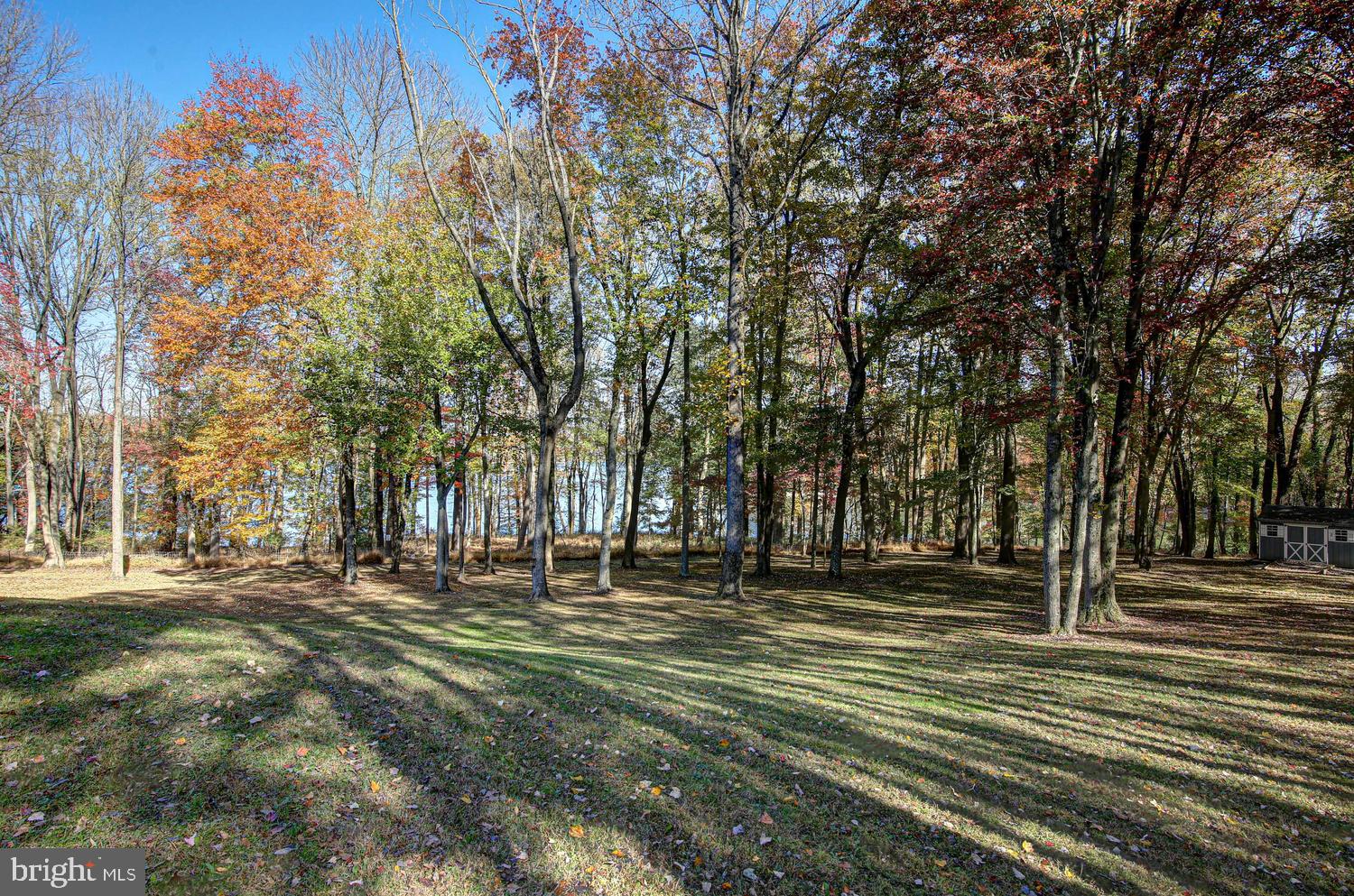 SPRINGTON ESTATES - Residential