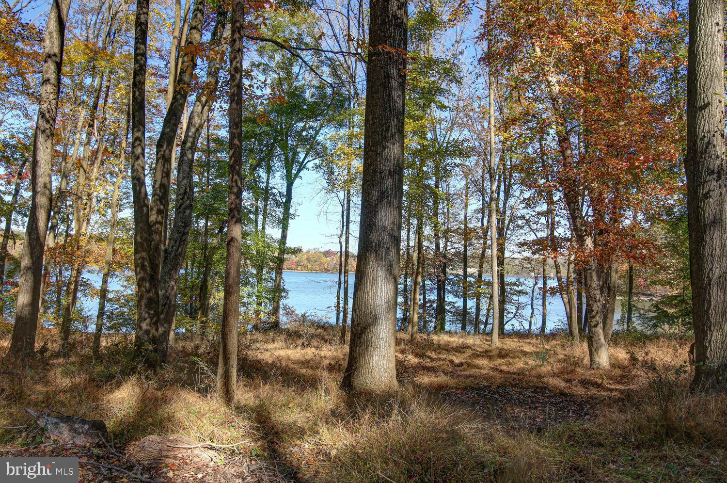 SPRINGTON ESTATES - Residential