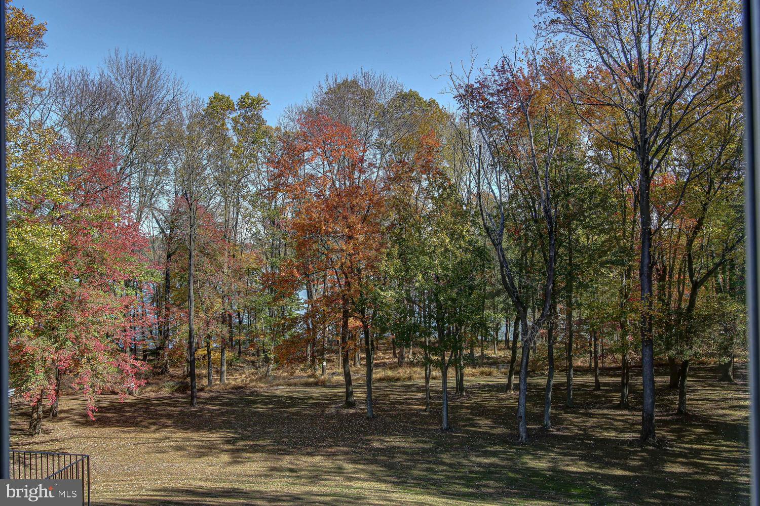 SPRINGTON ESTATES - Residential