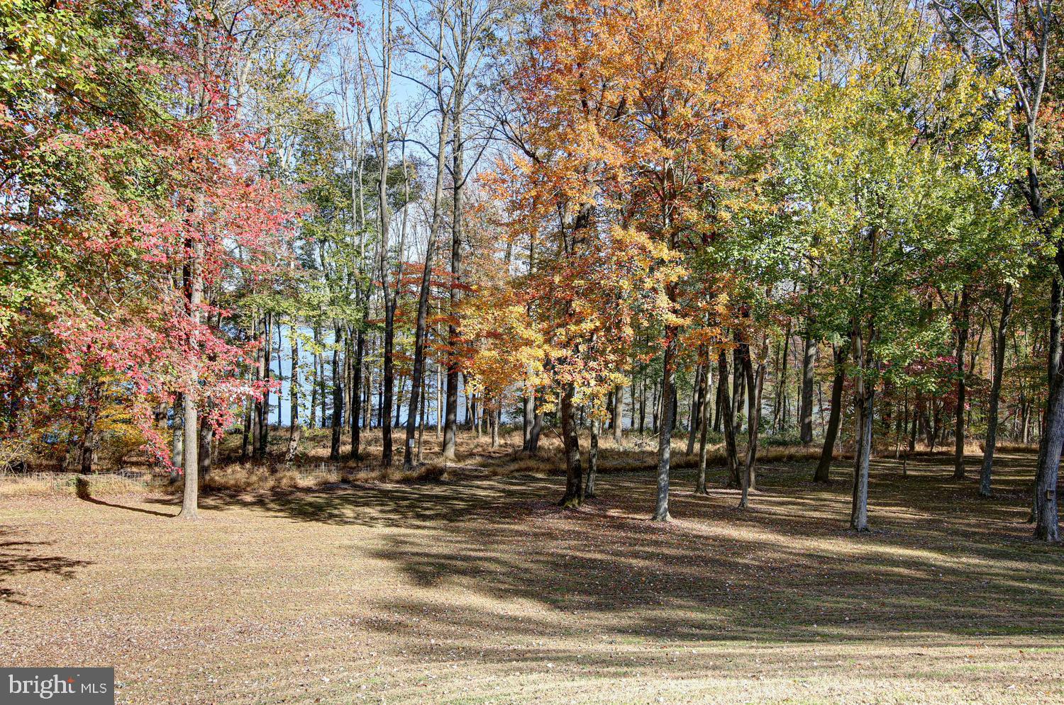 SPRINGTON ESTATES - Residential