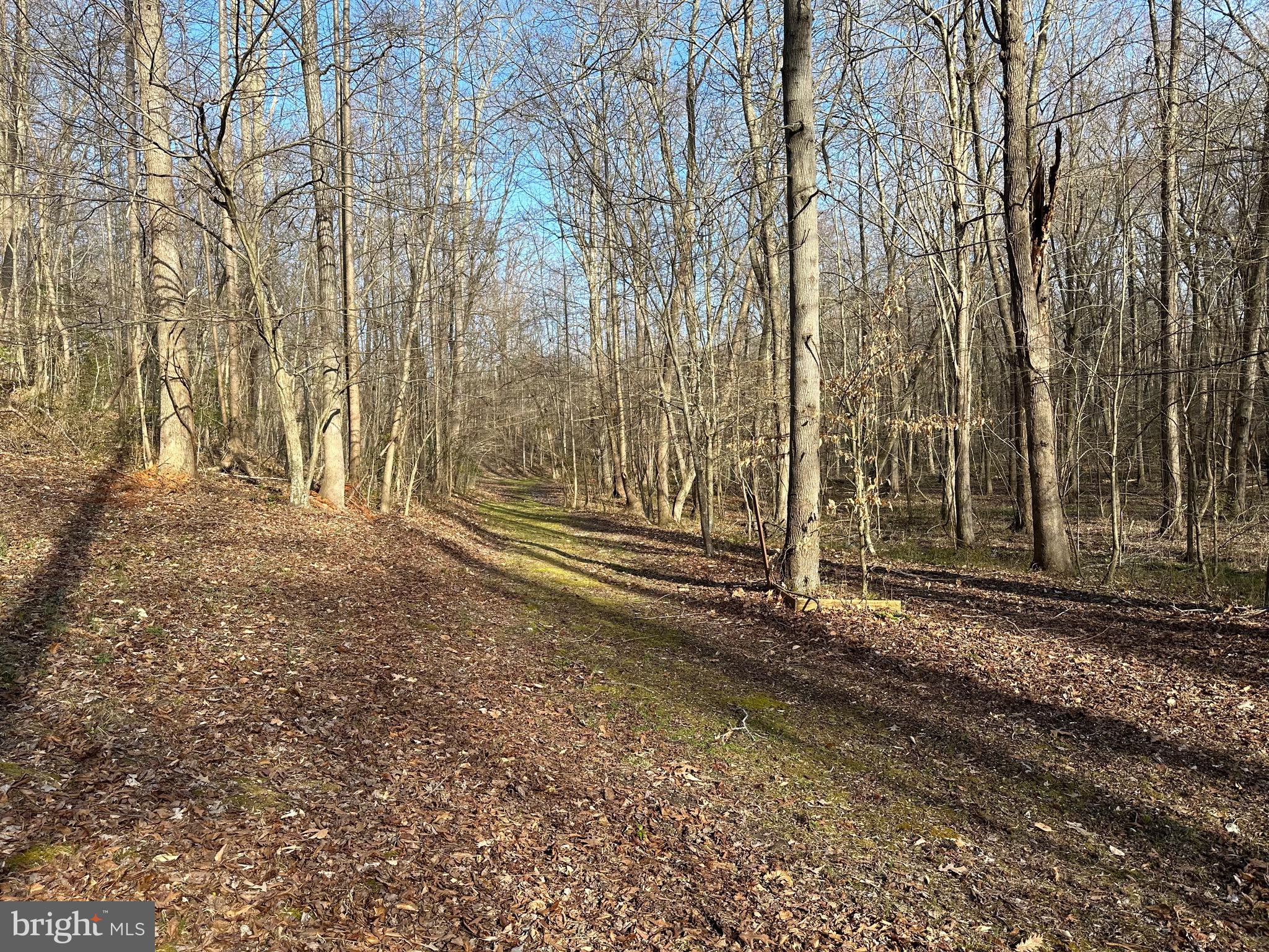 6852 OLD BAYSIDE ROAD