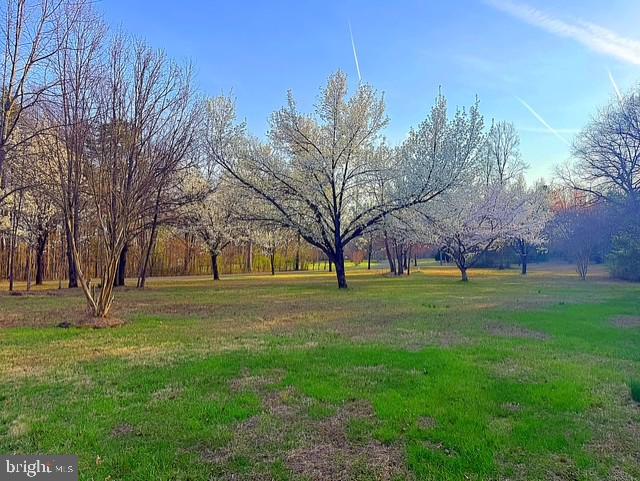 CHESTERFIELD ESTATES - Residential