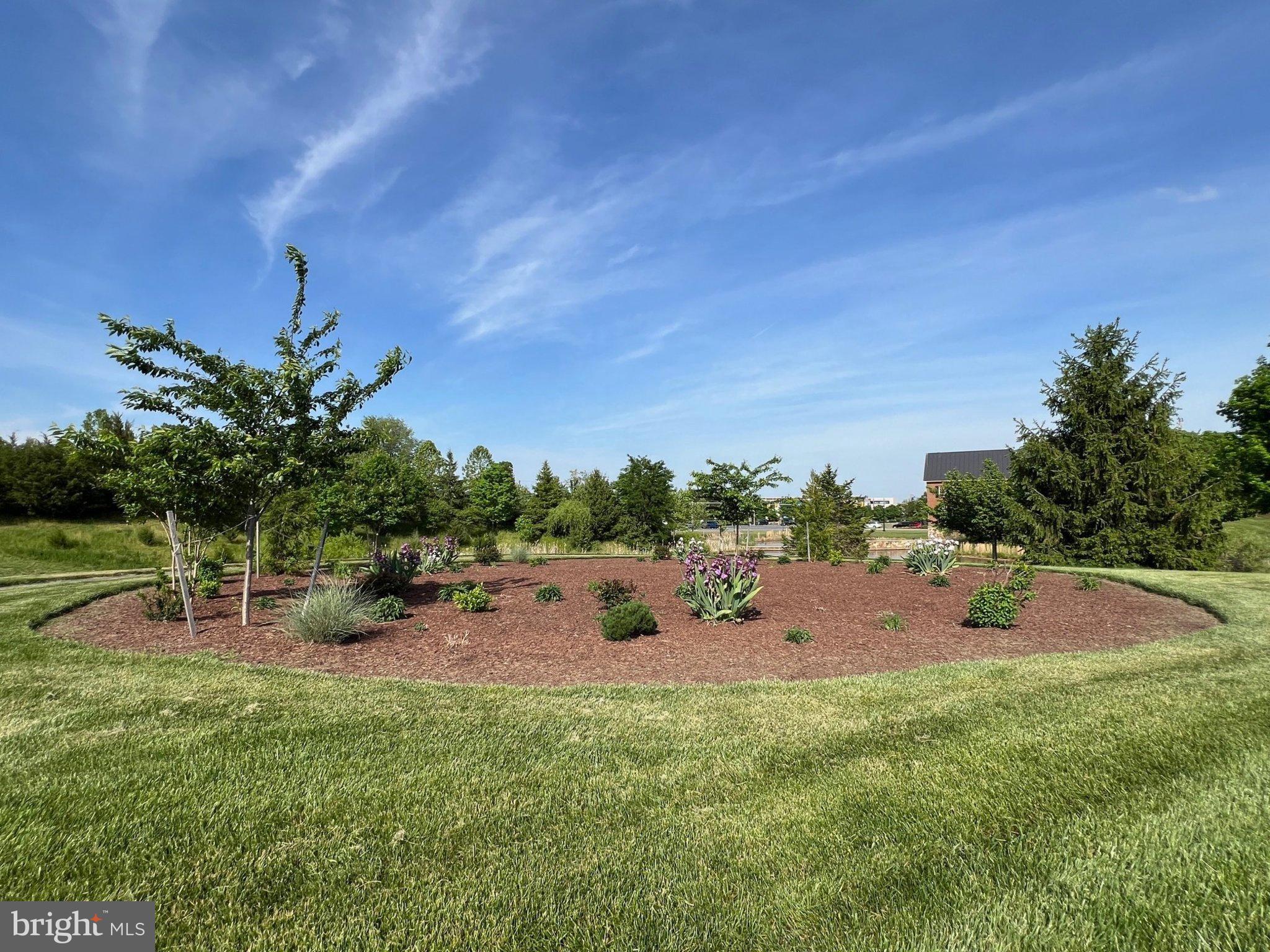 LENAH MILL - THE EXECUTIVES - Residential