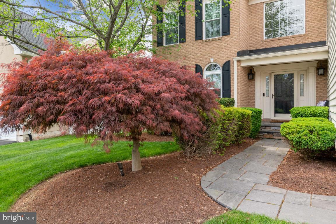 BELMONT COUNTRY CLUB - Residential