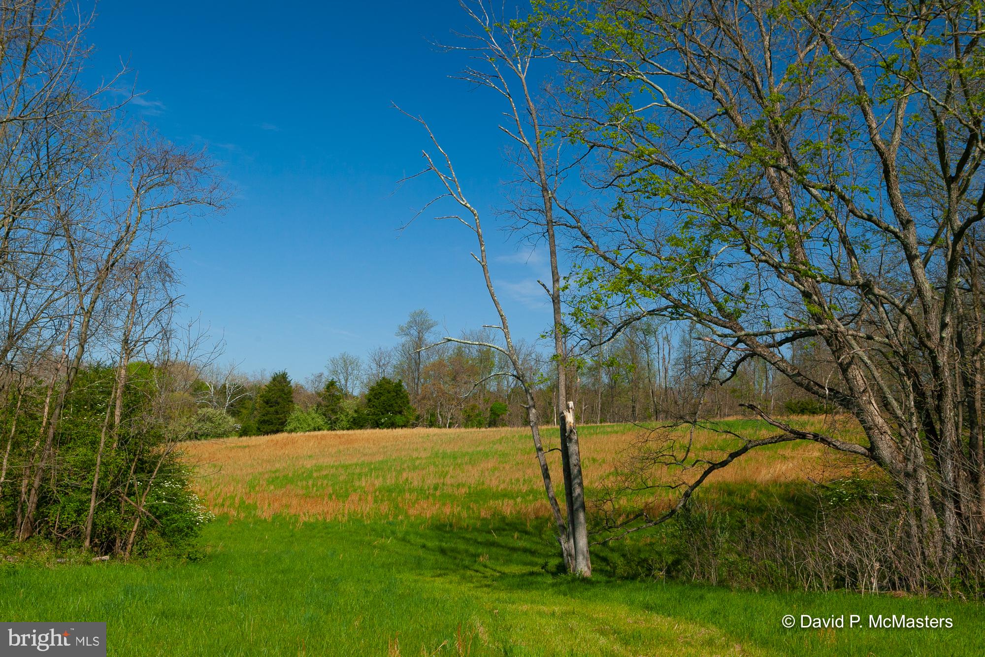 NONE AVAILABLE - Land