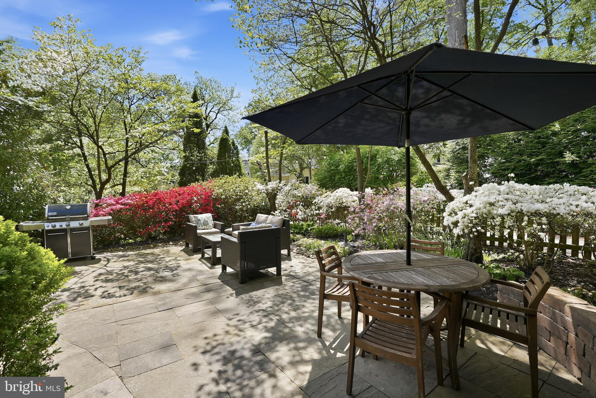 CHEVY CHASE - Residential