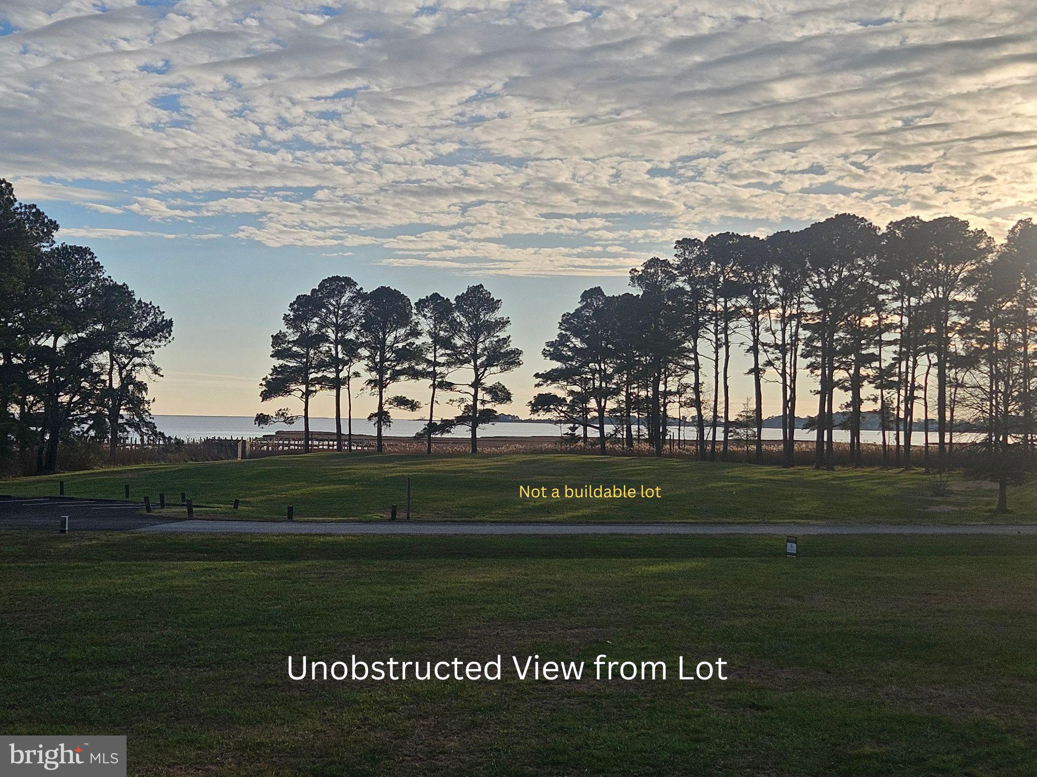 SYNEPUXENT LANDING - Land