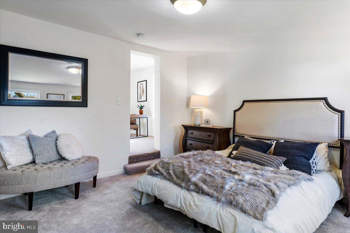 MOUNT RAINIER - Residential