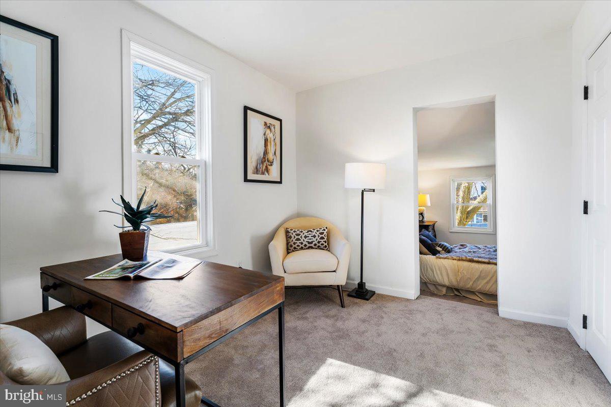 MOUNT RAINIER - Residential